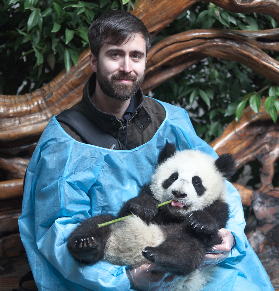 Holding a panda